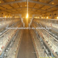 Gaiana que vende galinheiros com galinha e gaiola de galinha para fazenda de aves de capoeira